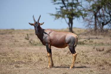 Similar image 7978546