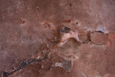 Similar image 7978549