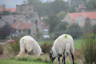 Similar image 7978552