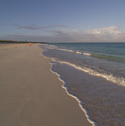 Similar image 7978569