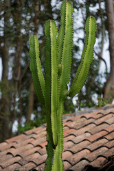 Similar image 7978574