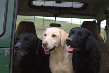 Similar image 7978577