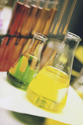 Similar image 7978581