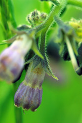 Similar image 7978586