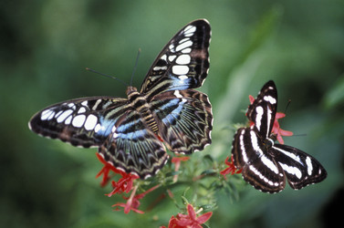 Similar image 7978587