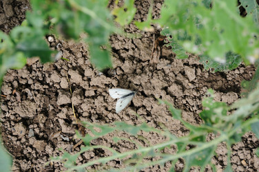 Similar image 7978589