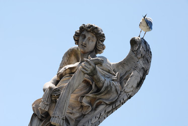 Similar image 7978594