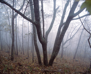 Similar image 7978599