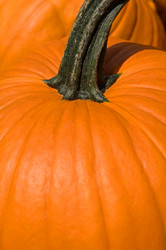 Similar image 7978606