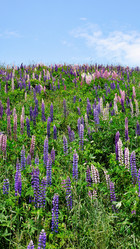 Similar image 7978608