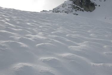 Similar image 7978609