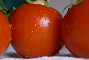 Similar image 7978613