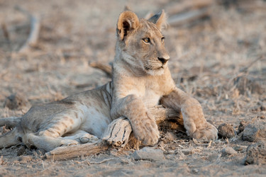 Similar image 7978615