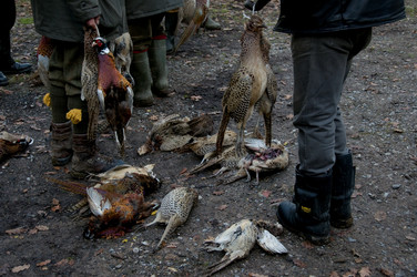 Similar image 7978626