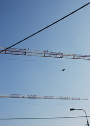 Similar image 7978629