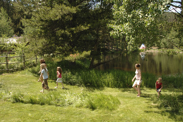 Similar image 7978642