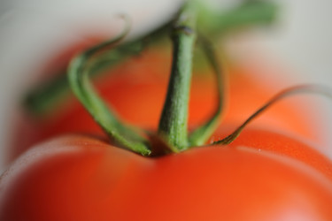 Similar image 7978645