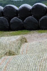 Similar image 7978646