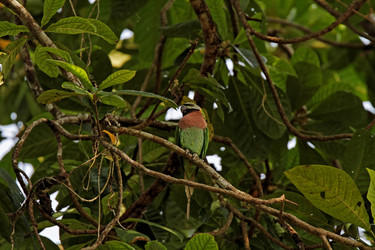 Similar image 7978647