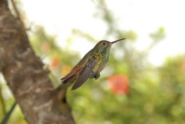 Similar image 7978649