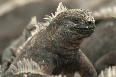 Similar image 7978670