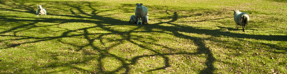 Similar image 7978672