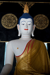 Similar image 7978673