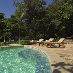 Similar image 7978684