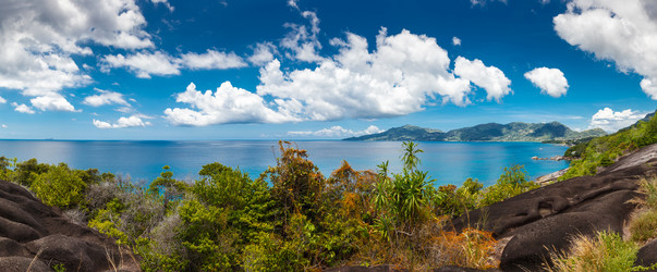 Similar image 7978698