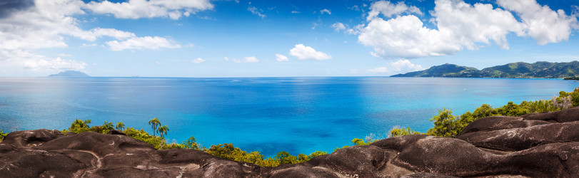 Similar image 7978699