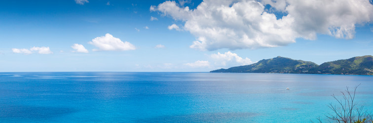 Similar image 7978700