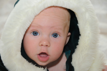 Similar image 7978708