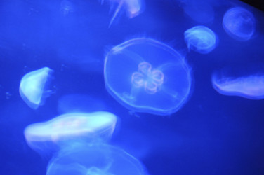 Similar image 7978710