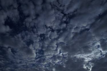 Similar image 7978712