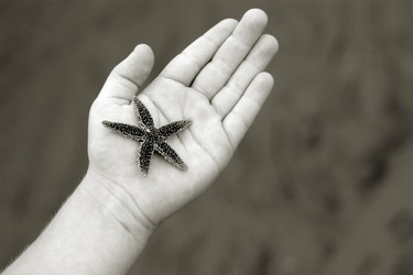 Similar image 7978713