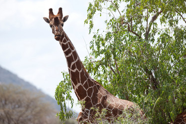 Similar image 7978718