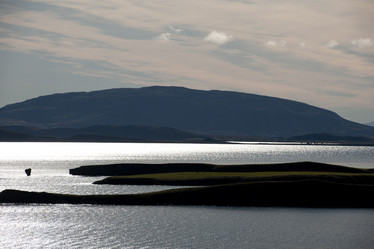 Similar image 7978719