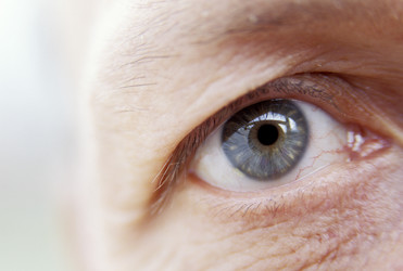 Similar image 7978724