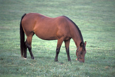 Similar image 7978727