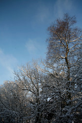 Similar image 7978731