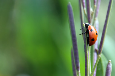 Similar image 7978732