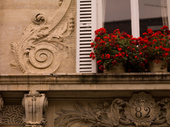 Similar image 7978737