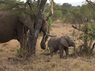 Similar image 7978742