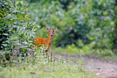 Similar image 7978750