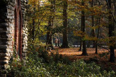 Similar image 7978751