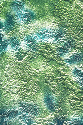 Similar image 7978752