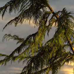 Similar image 7978753