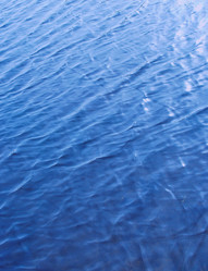 Similar image 7978755