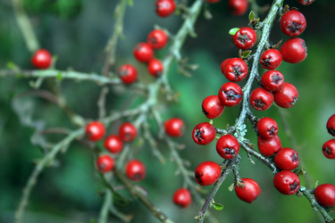 Similar image 7978763