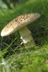 Similar image 7978770